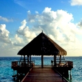 Líbánky na Maledivách v Filitheyo Island Resort