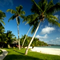 Líbánky na Seychelách v Paradise Sun
